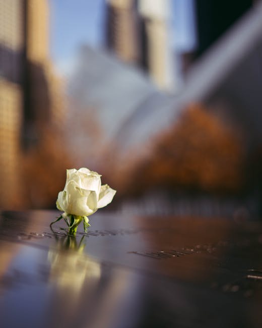 Serene memorial flower